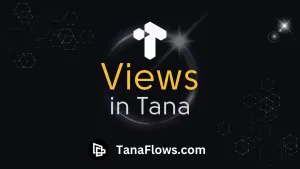 Khám Phá 6 Chế Độ Xem (Views) trong Tana