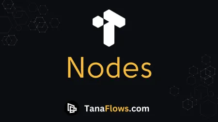 Nodes in Tana